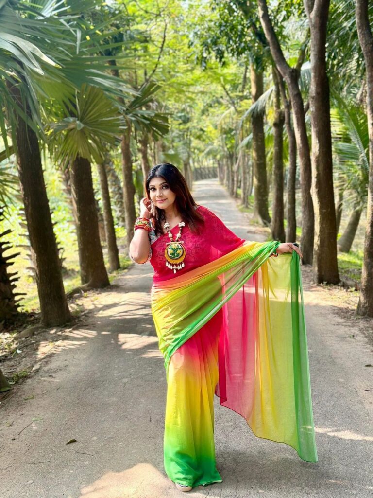 Indian weightless georgette-1